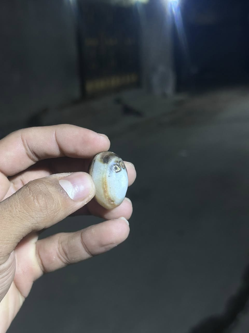 داودي عطف ملاكط مصور وجه  قيم وخذ


**إذا كنت صاحب هذا الإعلان وتريد حذفه لأي سبب، رجاءا أرسل رسالة إلى الدعم الفني**