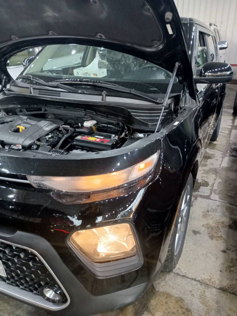 كيا صول موديل 2022امريكي احدثها موضح بالصور وياها سونار تبديل قبغ جنطه وصبغ الجاملغ الخلفي وشبر صبغ بالبنيد بدون دواخل مكينه 2000دوش مواصفات تحكمات شاشه اوتوبريك رادارجانبي إطفاء اقتصادي كامره وبعد بيها مواصفات رقم بغداد وباسمي بيع اومراوس حسب الاتفاق سعرها 138وبيها مجال للشراي موقع السيده *********** بغداد, العراق
