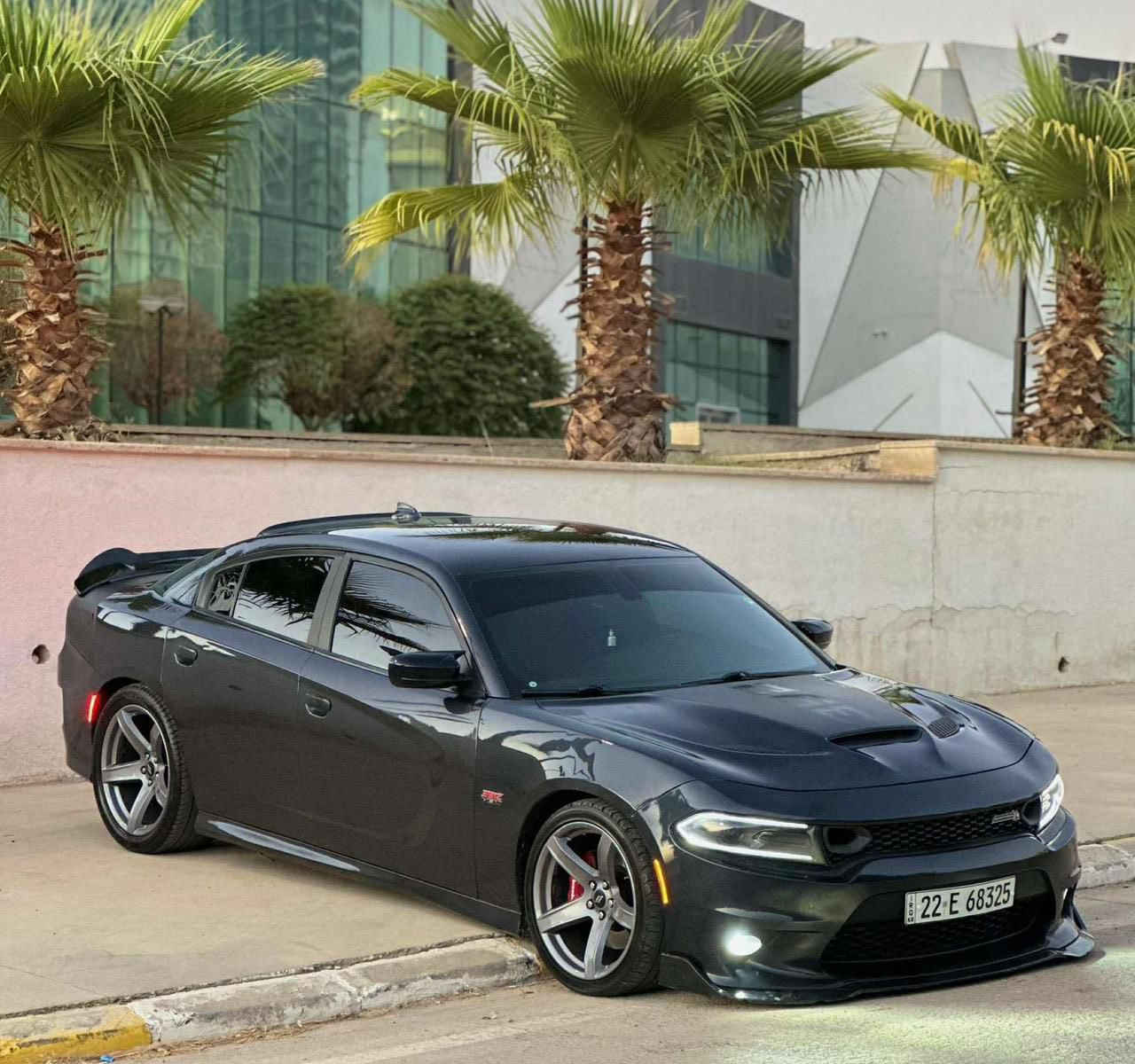 سلام عليكم
دلال جارجراات توفرت عندي كلشي كل الاوان امريكي كندي خليجي ومن ١٥ لل ٢٣ 

متوفر جارجرات SXT/GT/RT

8 سنلدر و 6 سلندر  الي يدور وما لاكي موجود يمي بس دزلي مواصفات وتلكه عندي 

متوفر عندي من ١٥ لل ٢٣ جارجر جالنجر

وعندي سكات واس ار تي هيلكات كل الفئات مال جارجر وجالنجر موجود

توفرت عندي حالياً وجبه قويه اكثر من ٢٠ سياره و ٩٥٪؜ بيهن كلين واسعار مناسبه ارقام بس اربيل وسليمانيه و بغداد 

متوفر ٢٤ ساعه

تخابرني الفجر ارد عليك

للاستفسار ***********
