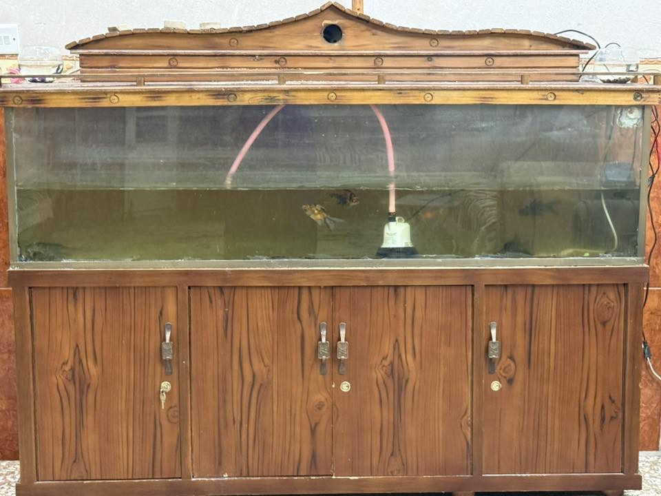 حوض للبيع عرض متر و180 رايده ب375 مكاني بغداد الشعب ***********
