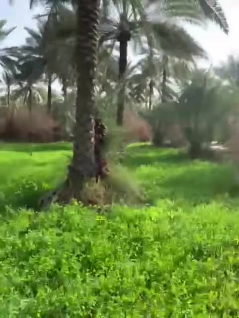 السلام عليكم اخوان يوجد بستان مختوم نخل خدمات كهرباء ماء سقي ماء اساله دونم طابو سند ٢٥  كامل المساحه واجه 35مكانه كربلاء الحسينيه العسافيات
السعر($147)وبيه مجال 
 للئستفسار الاتصال على الرقم ***********
