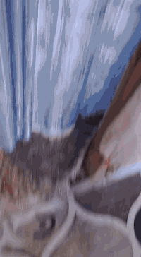 ليريد يخلص من الجار يجيني بيت للبيع بي غرفتين وصاله وحمام وتواليت برا وطارمه زغيره تجاوز بس 6وعلي مال اجار سنتين فلوسه وشرط ضمان 3سنوات انطيك لا فلوس وطني تنطي لا فلوس ماي حتا انترنيت بي وبرقه مكان نصر مهندسين اني صالي، 16سنه بي كملت بيتي وريد ابيعه ابو الجرا رهينه يفيدك ولقران ولمو شراي لا يراسل رحمه لوالديكم هاذ الرقم بي واتساب ***********واتساب
