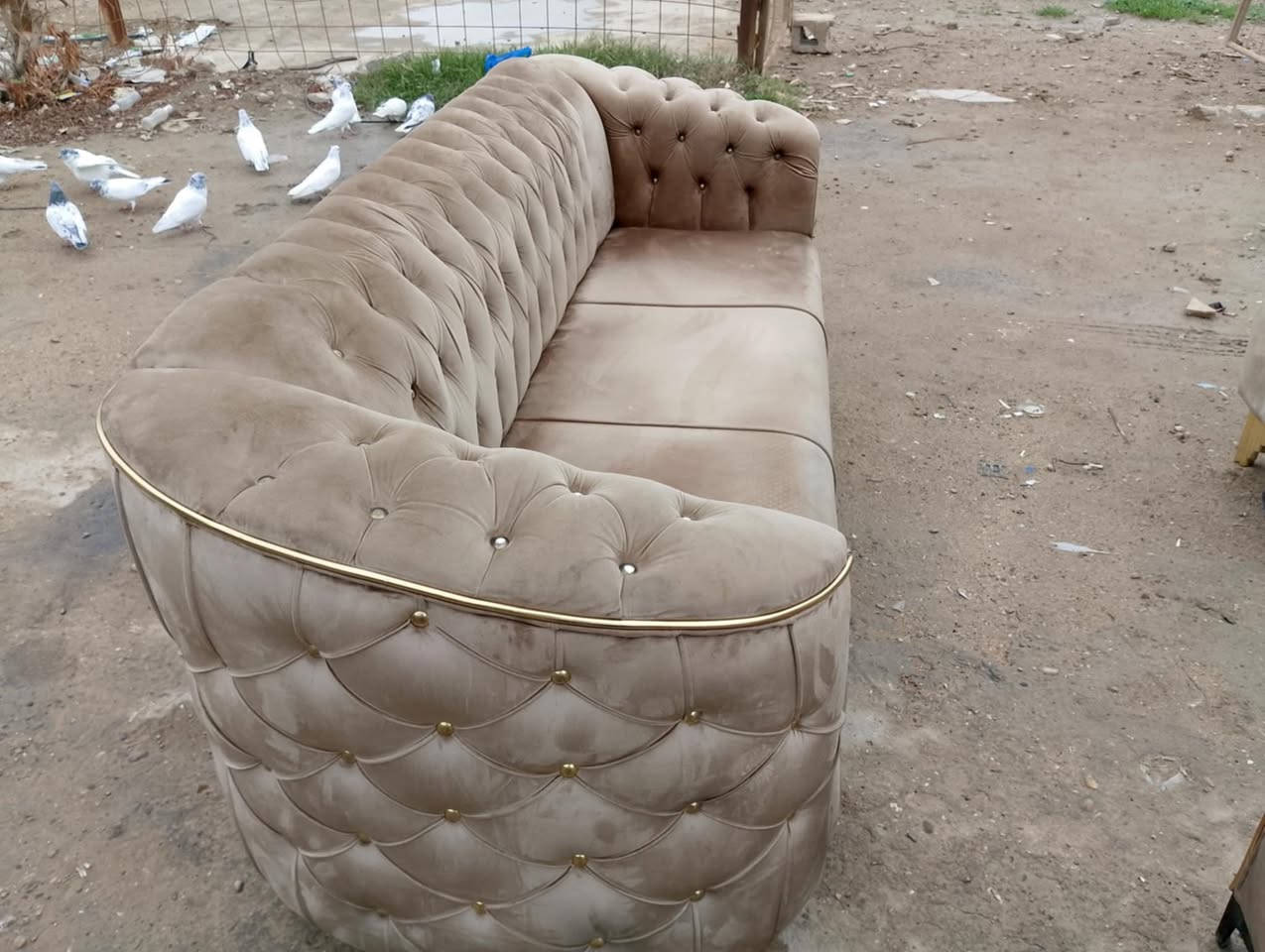 10 مقاعد  نظيغ جدا


**إذا كنت صاحب هذا الإعلان وتريد حذفه لأي سبب، رجاءا أرسل رسالة إلى الدعم الفني**