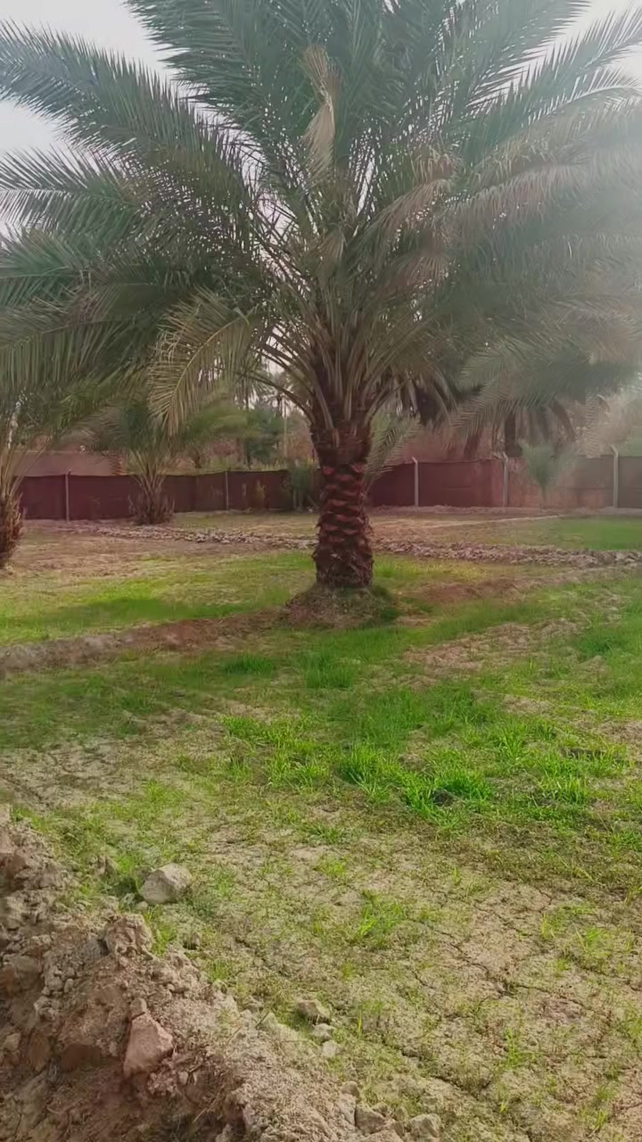 السلام عليكم المساحه نص دونم سند 25 الواجهيه 25 متر تحويل اسهم شارع بغداد منطقه الامام عون تنزل له كيلو وربع تبليط عن التبليط 50 متر كافه الخدمات متوفره بيه سعر وباقي التفاصيل اكثر الاتصال***********
