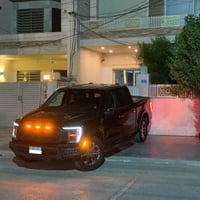 لاريات هايبرد • ٢٠٢٣ • بدون صبغ