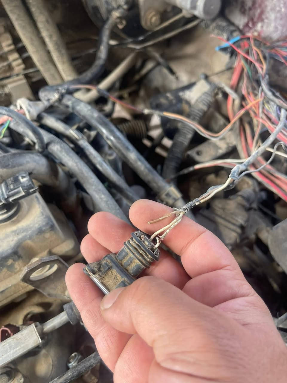 نقدم لكم باقة خدماتنا المميزة لضمان أفضل أداء لمحرك سيارتكم
🚗 شيري تيكو موديل 13 
 ✅ قطع في الظفيرة  وتم  المعالجة 
✅ طبك بل ظفيرة وتم معالجة المشكلة
✅ فحص عقل
✅ فحص قاعدة الفيوزات ومعالجة المشكلة بل قاعدة 
✅ برمجة وصيانة شاملة لجميع أنواع السيارات باستخدام أجهزة فحص متطورة.
لماذا تختارنا؟
الدقة في العمل، السرعة في الإنجاز، وأسعار تنافسية تناسب الجميع.
📍 العنوان: السماوة - مقابل جامعة المثنى - الباب الخلفي.
📞 للحجز أو الاستفسار: ***********
📞 للحجز أو الاستفسار: ***********
ورشة الحسنين.. رفيقك الموثوق على الطريق! 🏁
