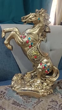 تحفية • نص متر • سوك الشيوخ