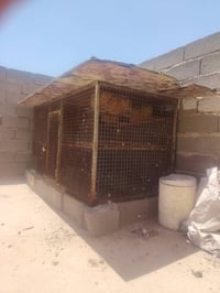 قفص للبيع حديد مكاني بغداد الرشاد ٠٧٧١٦٦١٢٣٨٠ قيم واخذ