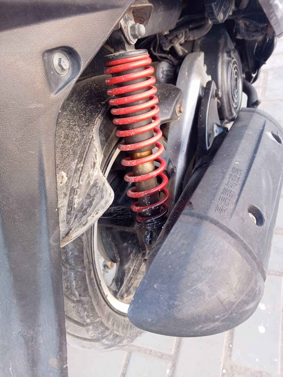 سلام عليكم سكنس فحل كوري 
إدراجه نضيفه كلش مكفوله كفاله
عامه مكينه خرسه اريدها 575 وبيها 
مجال مكاني بغداد الغزاليه رقمي 
*********** رجاءن بدون 
وعود الكذبه مو تكلي امسح المنشور 
وباجر جايك رجاءن
