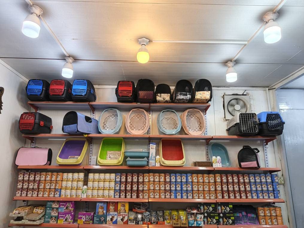 - دجاج🐔 للكلاب والقطط (الحيوانات) يوم بيوم تازة♨️ فرش💯

 1-)الدجاج نظيف جدا عبارة عن قطع رگب وضهر 
ودجاج 
.الكليو ب 1000 دنيار

2.)مثرؤم 
- الكيلو ب1000 دينار 
💎💎))))))ملاحظة.  اقل كميه نبيع 5 كليؤات((((((💎💎💎

- (متوفر فقط خدمة توصيل) (داخل بغداد فقط) ب5000 دينار🚕🚘 

- للطلب وللمزيد من المعلومات يرجى الاتصال على الارقام التالية : ***********

او مراسلتنا عبر هذه الصفحة 
وشكراً🌹
