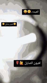 سلام عليكم ستوته البيع موديل 2022 محرك جديد 200 دولفين محجر وياهه وكبات ومصطبات النضافه فول والسعر اتصل عله هاذه الرقم وبيك خير وتدلل ***********
 المكان نجف عامود 130
