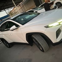 توسان ٢٠٢٢ • جلد • واسط العزيزيه