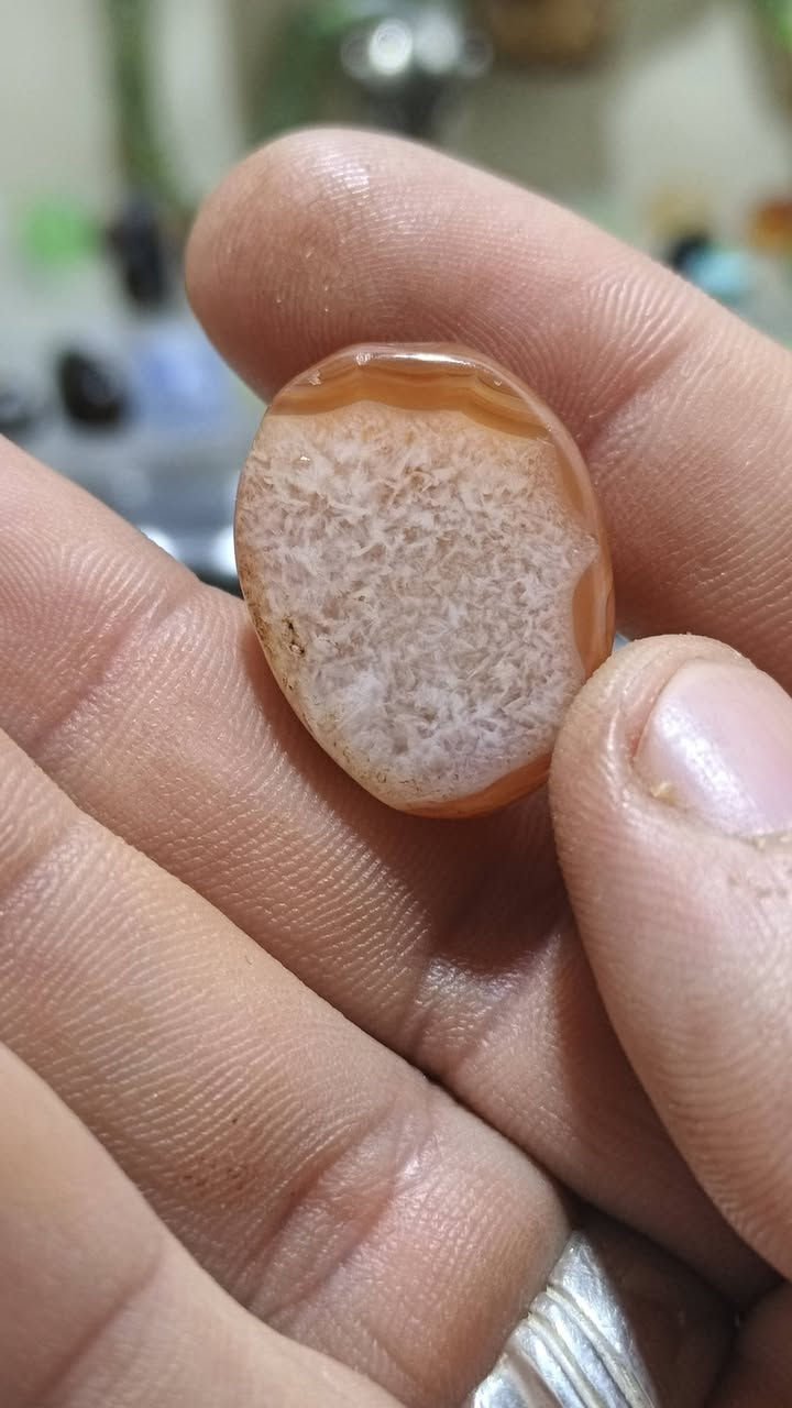 سليماني قديم عين الشمس


**إذا كنت صاحب هذا الإعلان وتريد حذفه لأي سبب، رجاءا أرسل رسالة إلى الدعم الفني**