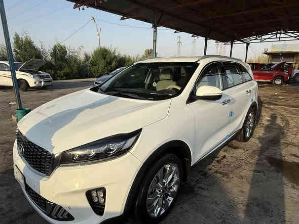 سورنتو 19 شكل 20 
خليجي رقم بغداد 
6 سلندر 
7راكب 
3قطع تبريد 
بصمه تشغيل بصمه ابواب /بردات بلاد
 سايد بريك دكمه. 
كامرات محيطيه خمس كامرات
حساسات امامي خلفي
5 تحكمات سرعه 
كشنات امامي كهربائى 
جنطه كهربائيه 
شاحن لا سلكي 
سياره فوال عده بانرامه
سعرها 255 وبيها مجال قليل 

( بيها شبر بارد فقط) 

***********
