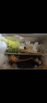 ثلاجة • حجم ١٨ • بغداد