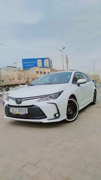 تخم ويل وتاير خط وسط مو العريض للبيع حجم صار سبوعين من اخذتهن جدد15......