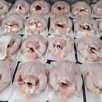 اسعار اليوم  07740409244 واتس اب   سمك ناعم 5250 سمك خشن 5750  دجاج 33...