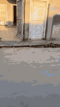 حي العبور • ٢٥٠م • سند زراعي