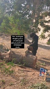 تقطيع الأشجار • مجانا • كادر محترف