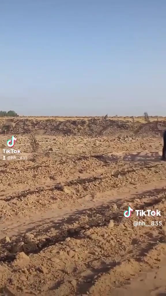 عمال سماد ودفان   الكادر. السعيدي.  ب سعر مناسب  ***********

