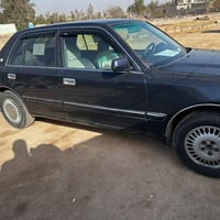 راس الثور • ٩٨ • كفالة عامه