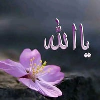 بيت للبيع • ١٨٠م • مقابيل مدرسه صنعاء