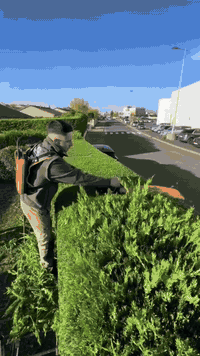 ✂️ تقليم نينيا وياس ✂️
بأجهزة احترافية وحديثة
قص متساوي • شغل نظيف • لمسة جمالية راقية

🔰 حدقجي ابوالعز في كركوك
نهتم بحديقتك من الجذور إلى القمة 🌱

📞 للحجز والاستفسار:
***********
