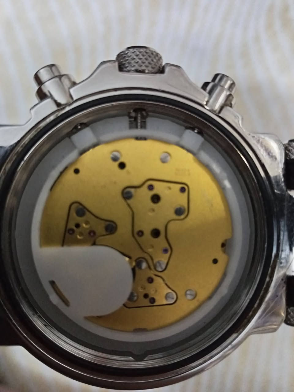 سويسري اصلي السعر 120


**إذا كنت صاحب هذا الإعلان وتريد حذفه لأي سبب، رجاءا أرسل رسالة إلى الدعم الفني**