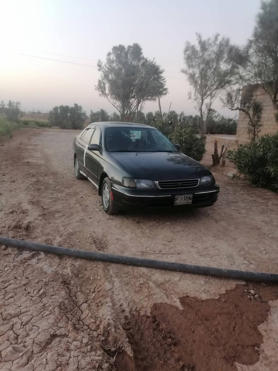 كرونه فرخ بطه فحص بغداد بس راعيه ما اندله وابيع حبل شرط السياره نضافه محرك وكير شرط صدر امامي خلفي جديد كهربائيات شغاله السياره حلوه تخم تايرات جديد مكانها تكريت فلكة الفرسان العلم رقم *********** سعره ٢٢ وبيه مجال
