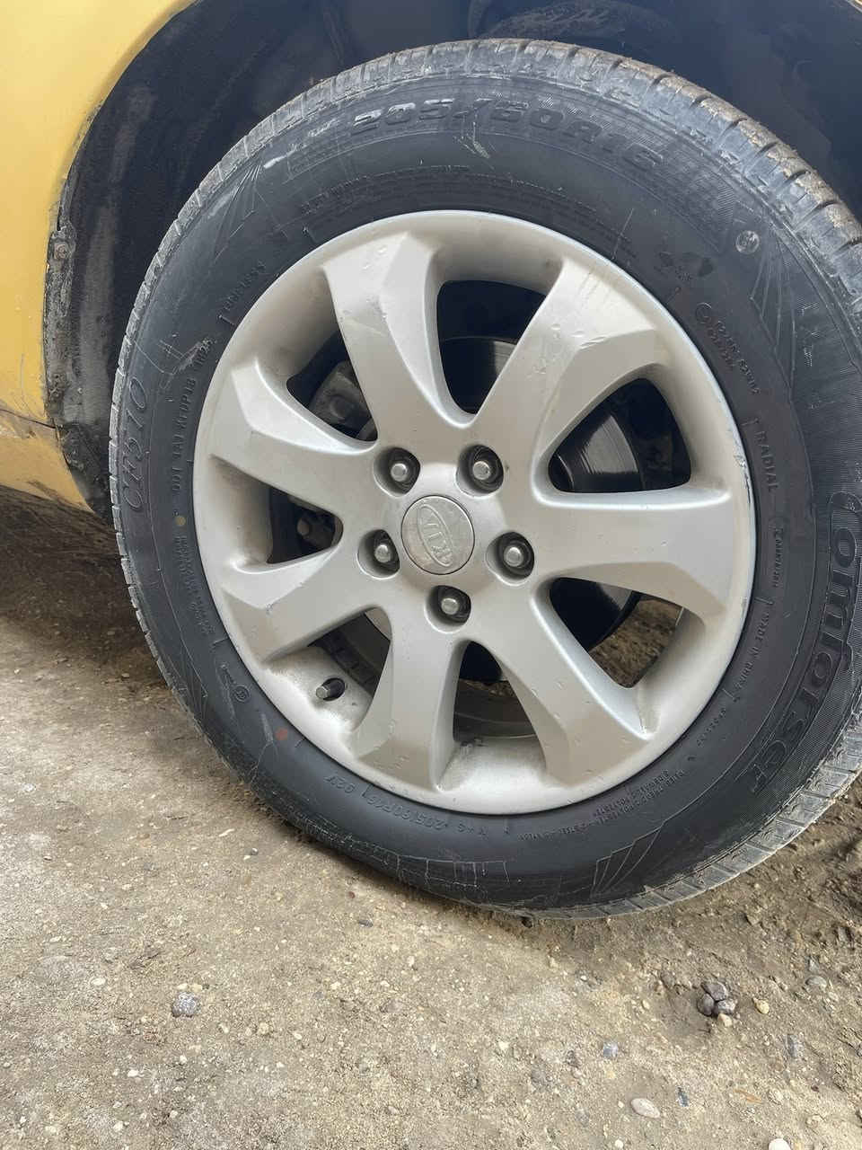 السلام عليكم عندي ويل كب نظاف مراوس ويل عادي
للاستفسار ***********
