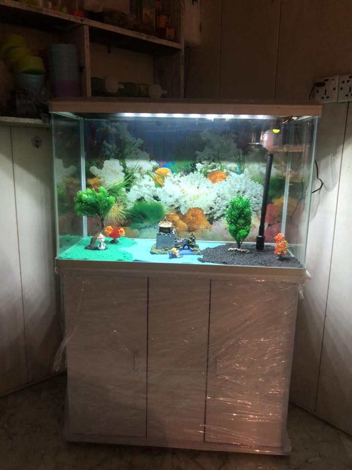 ملك الفايتر #
حوض اسماك عرض  80 سم

ارتفاع هو والميز  ١١٥ سم الحوض ارتفاع ٥٠

السعر  ٢٠٠ مع زوج سمك انت تختار 

المكان الحمحمودية مجمع الزهراء


**إذا كنت صاحب هذا الإعلان وتريد حذفه لأي سبب، رجاءا أرسل رسالة إلى الدعم الفني**