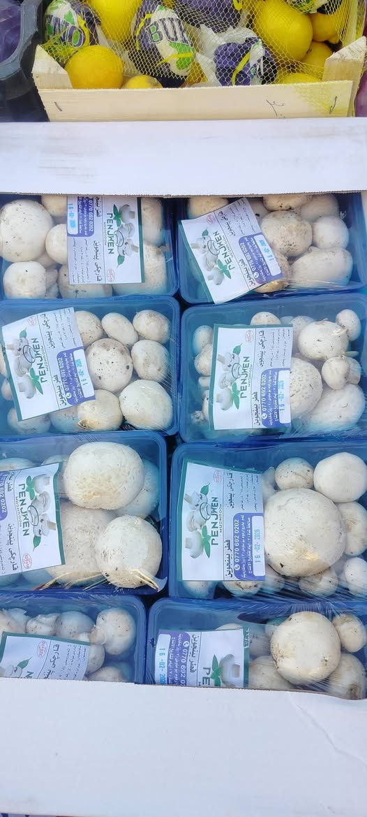 سلام علیکم ✋ وصل وجبة من عصير طبيعي 
رمان و زبيب وقيسي وتمر هندي 
سعر بطل لتر واحد 
1500
طماطة 1000 
فطر 🍄 علبه 1250
بصل 750  
🔴 يوجد توصيل مجاني داخل داقوق


**إذا كنت صاحب هذا الإعلان وتريد حذفه لأي سبب، رجاءا أرسل رسالة إلى الدعم الفني**