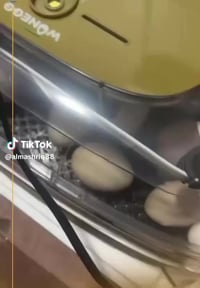 فقاسات بيض • دقة الحرارة والرطوبة • تفريخ عالي