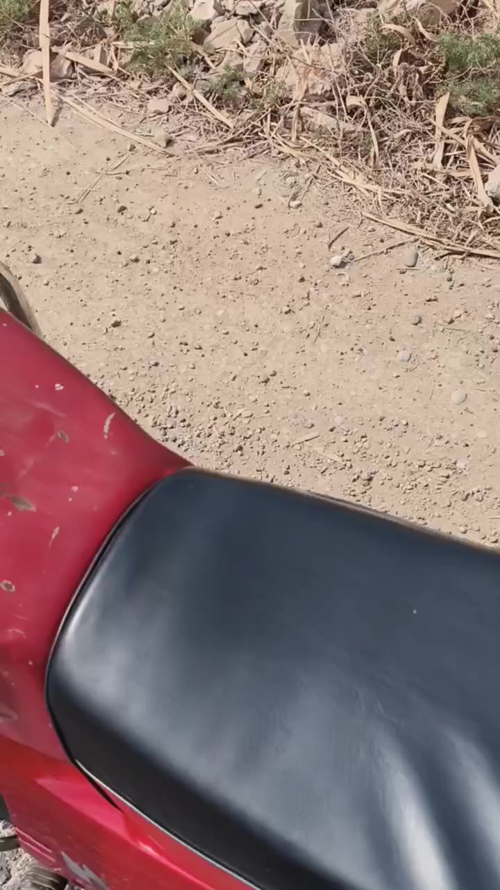 سلام عليكم
دراجه فيوم  5 كير موديل 8 اوراق اصولي سلف+ كهربائيات كله شغاله محرك 150 تخم تايرات جدد مابيه نقص 
السعر 425وبيه مجال  مكانه واسط الصويره
الخاص مفتوح


**إذا كنت صاحب هذا الإعلان وتريد حذفه لأي سبب، رجاءا أرسل رسالة إلى الدعم الفني**