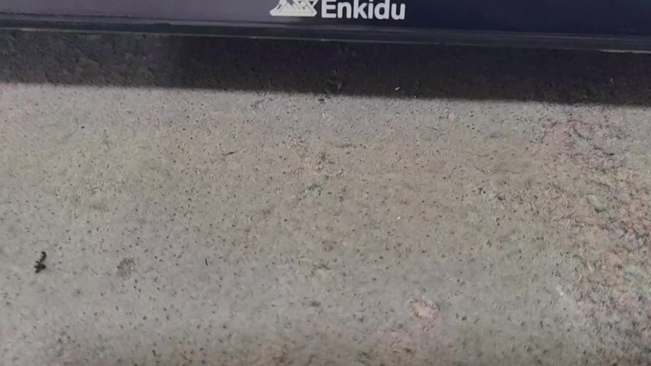 علمن الشاشه جديد لوك بلجيس *********** هاتف واتساب
سلام عليكم شاشه حجم 55 نوع انكيدو
4K حقيقي
بدقه 2160 دقه
معه برنامج يشغل جميع مباريات بين سبورت قنوات ولافلم
معه برنامج سينمانا شغال جميع الفلام ولمسلسلات المدبلجه
انترنيت كلش سريع تحكم كلش سلس وسريع يوتيوب كلش سريع
معه كرت ضمان 6 اشهر
سعره 325
مكاني بغداد مدينه الصدر
*********** هاتف واتساب
