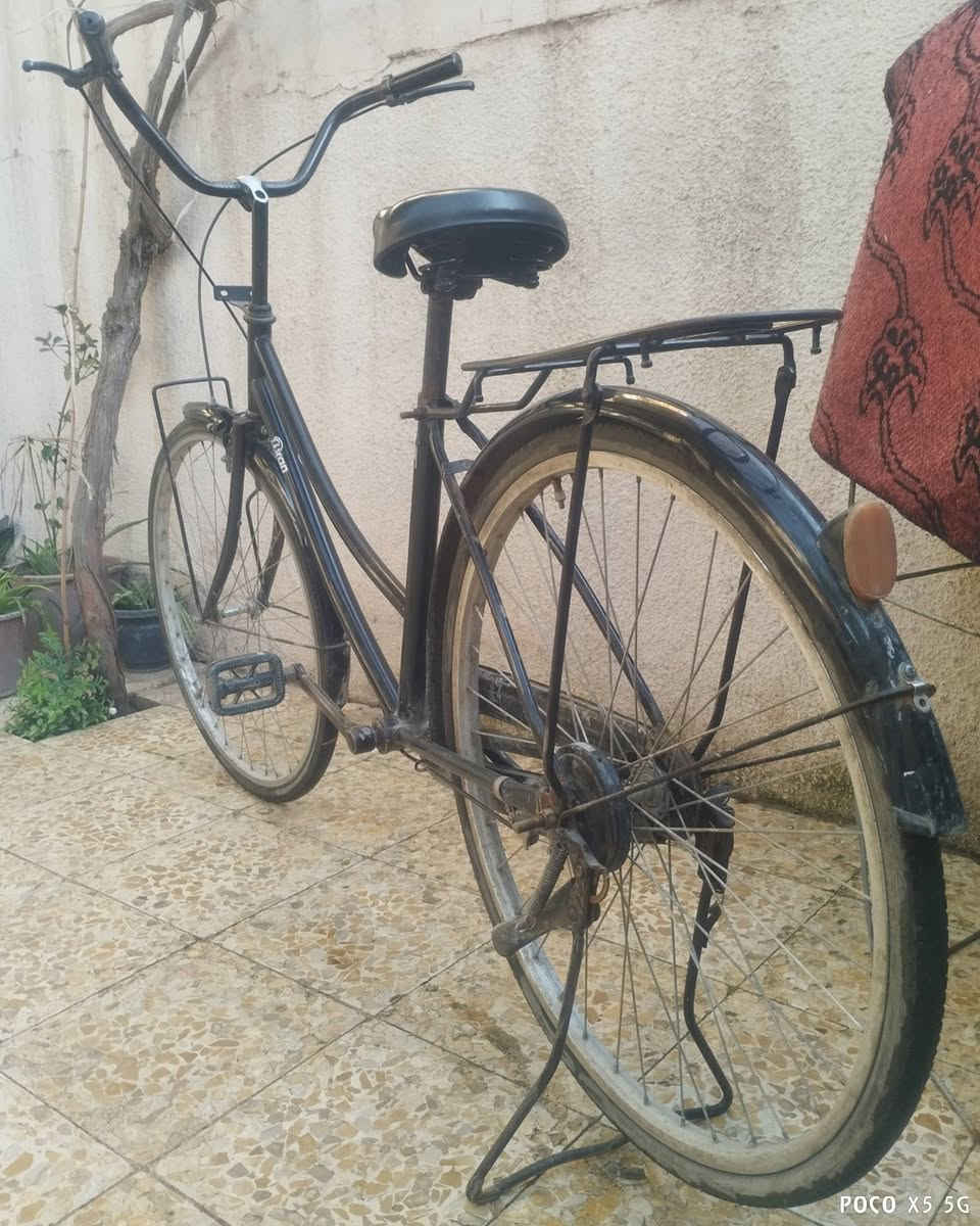 بايسكل للبيع حجم 26


**إذا كنت صاحب هذا الإعلان وتريد حذفه لأي سبب، رجاءا أرسل رسالة إلى الدعم الفني**