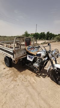 ستوته • مديل ١٤ • سوق الشيوخ