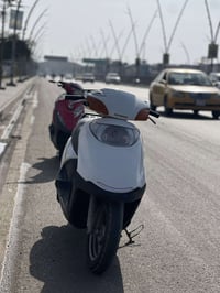 سبيسي ياباني • نقوصات بسيطة • الخاجية شارع اربعين