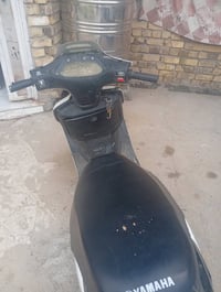 فراشه • فحل • برغي