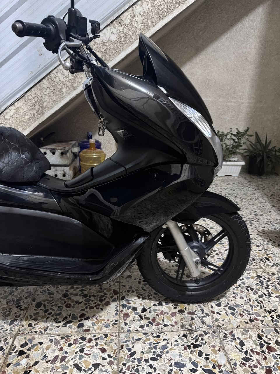 سلام عليكم PCX جيل اول ياباني JF
كفاله كفر ومكينه بلادي شخط واحد مابيهة 
صالنصه رياضي ☑️ستان حساس ☑️ 
حساس زدحام ☑️ منفيسهة وياها ☑️ 
شرط المكينه متسمع صوتهة جيب فيتر وتعال افحص ابيعلك من باب البيت السعر 1575وبيه مجال مكاني الامين الثانيه رقمي ***********
