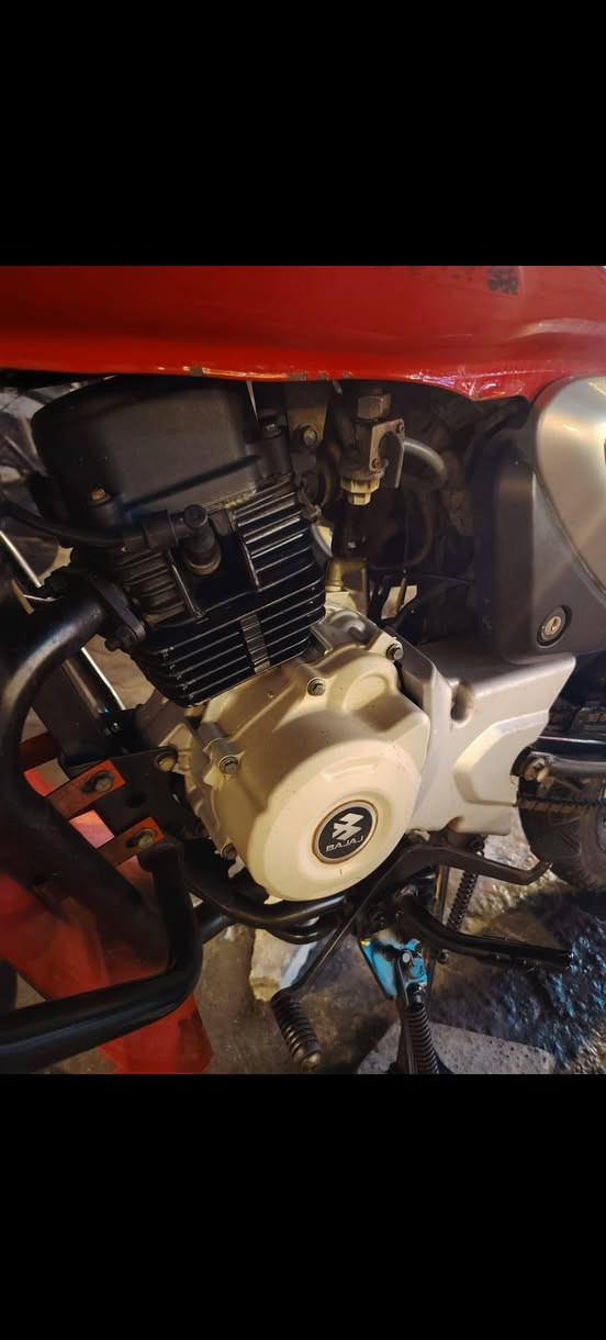 للبيع مديل ٢٣ أوراق مجفتة شركة *********** البصرة
