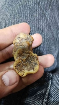 سلطاني • بعطف • فول ذمه