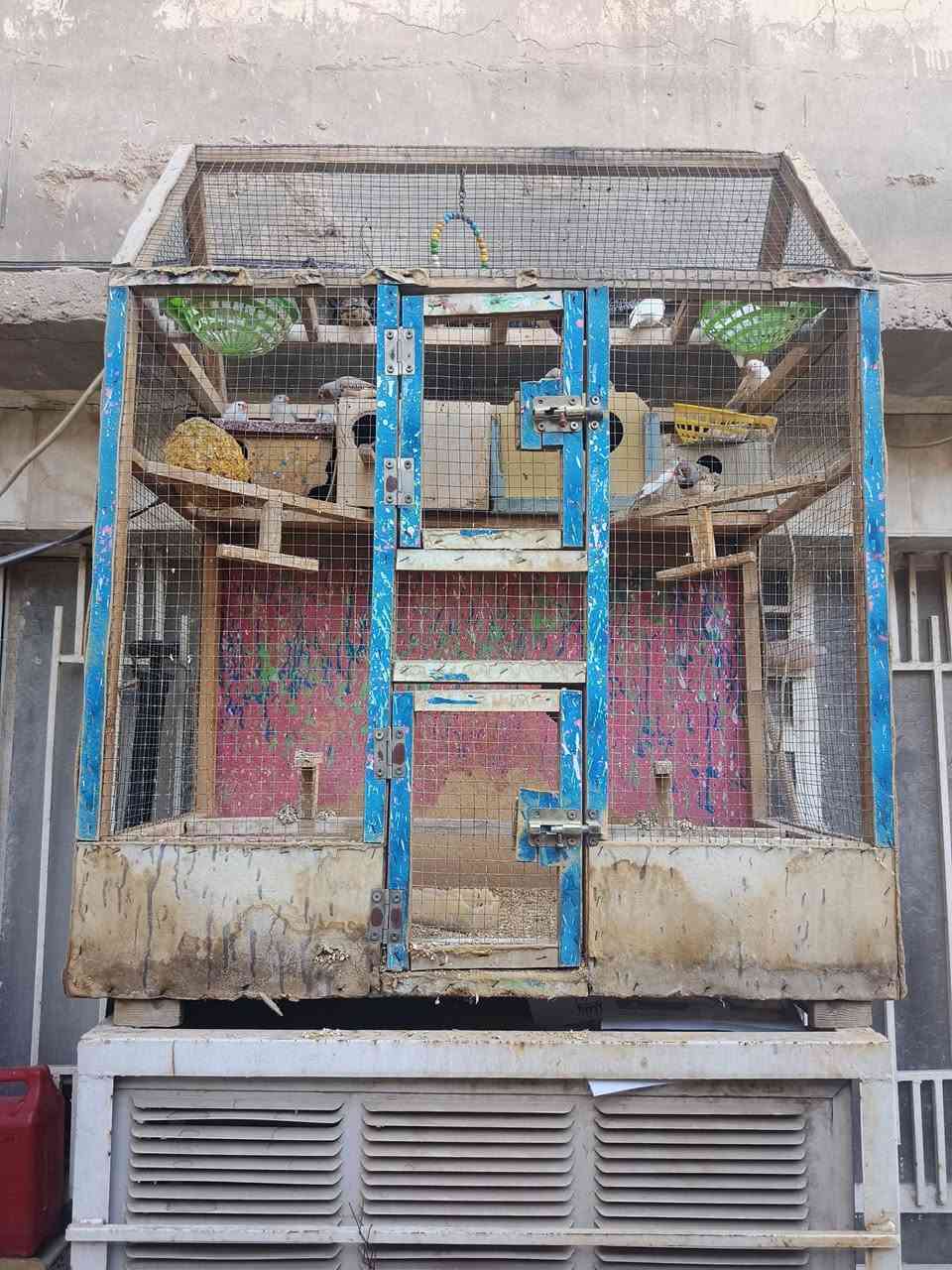 للببيع الطيور فناجز هنه وقفصهن وخلايه والخلايه تحتوي عله بيض وافراخ والفناجز عشر ازواج أو أكثر كالهن هنه وقفصهن ١٠٠ ألف وبيهن مجال


**إذا كنت صاحب هذا الإعلان وتريد حذفه لأي سبب، رجاءا أرسل رسالة إلى الدعم الفني**