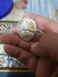 عقيق شجري • چراخة • مصورة