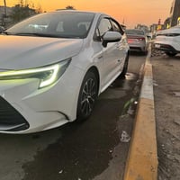 كورلا هايبرد • استعمال قليل • بغداد