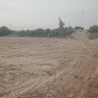 كاع شاطيه • ٢ دونم • النعمانيه واسط