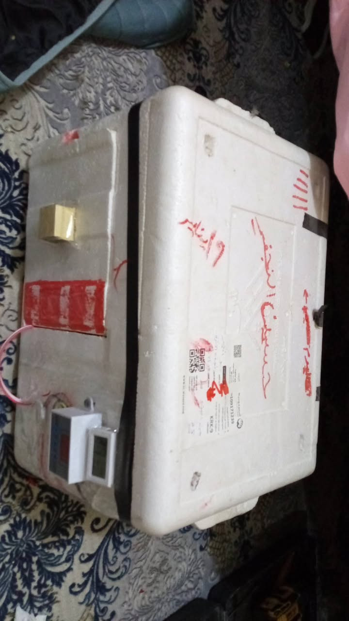 سلام عليكم عندي فقاسه جديده فقست بيها مره وحده بس الله شاهد فقاسه مرتبه وكلشي منضم بيها ماطلعتلي افراخ بيهم عيب والحمدلله  الفقاسه تستقبل سعت بيض 45 🥚🥚 تقليب يدوي مرتين بل يوم سعرها 50 الف مكاني نجف حي الأنصار


**إذا كنت صاحب هذا الإعلان وتريد حذفه لأي سبب، رجاءا أرسل رسالة إلى الدعم الفني**