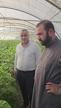 مكافحة حشرات • عناكب • حقل خالي