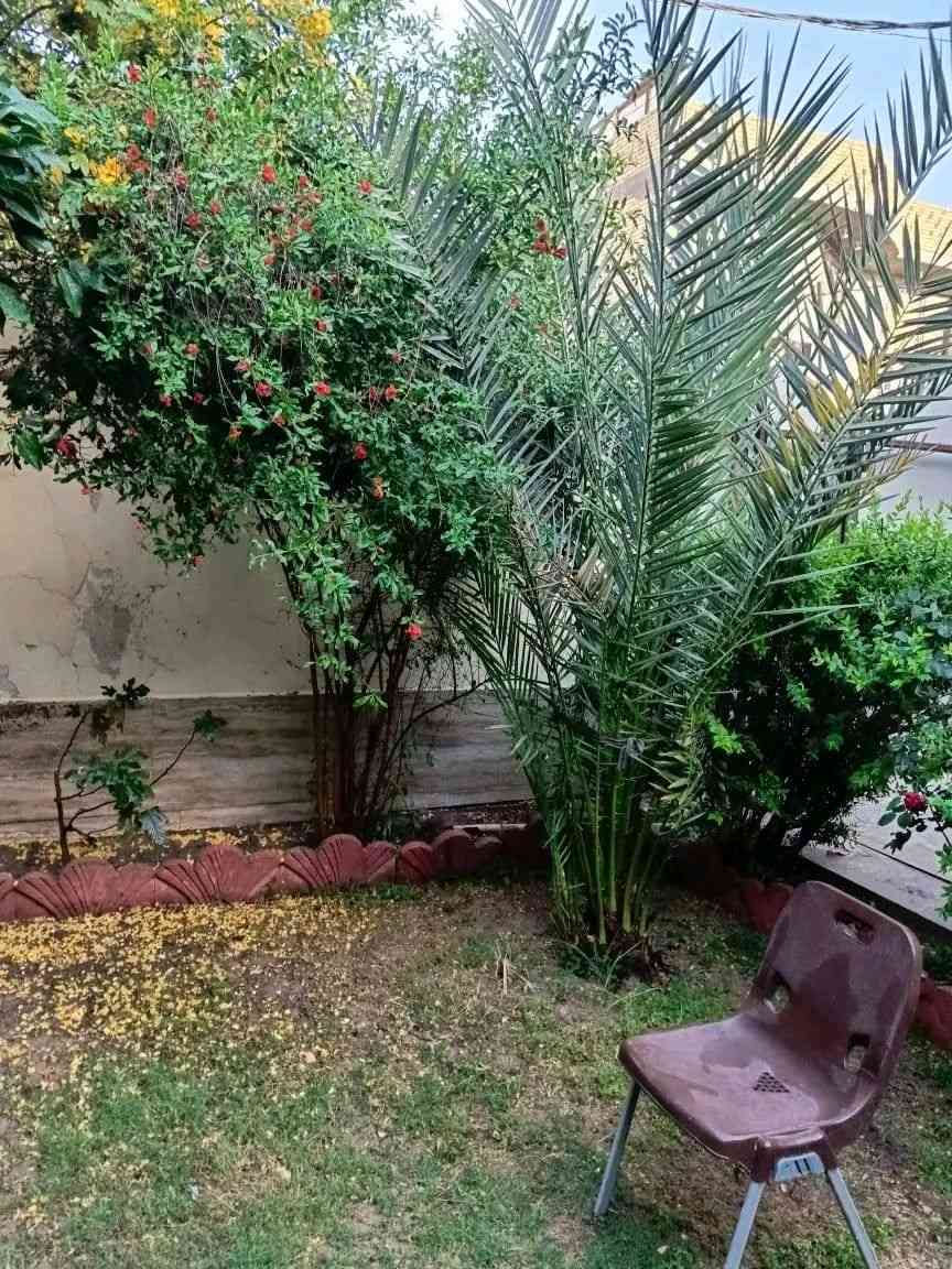 بيت للبيع ناصريه بالسفينه اسهم مساحه ٣٠٠م تحويل من الطابوا بناء درجه اولى غرفتين وصاله واستقبال ومطبخ وصحيات  ٢٥٥  بي مجال     رللإستفسار الإتصال *********** او  *********** واتساب  مكتب نجمة الابداع بالثوره
