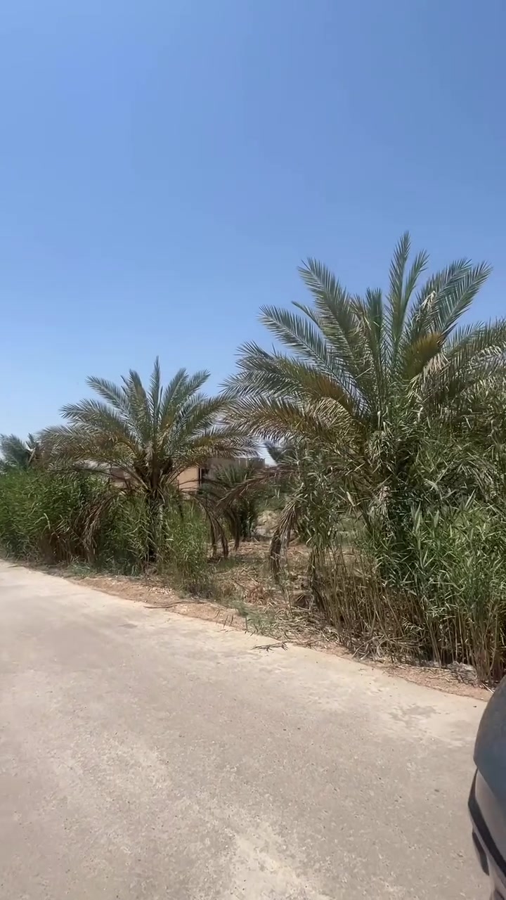 📢 قطعة أرض للبيع

📍 الموقع: جغيفي الثانية
📐 المساحة: 242 متر²
🏞️ الموقع المميز: مقابل ساحة
🛣️ الشارع: تبليط

فرصة مميزة للسكن أو الاستثمار في موقع جيد.

📞 للاستفسار والتواصل: ***********
